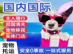 遵义茅台航空快递国际宠物托运 【国